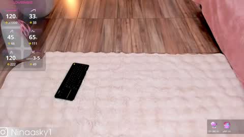 Snapshot of ninaa_sky chatting on 12-11-24, 04:09    online show from 12-11-24, 04:09