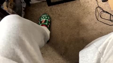 Snapshot of nipplelover69143 chatting on 12-17-24, 04:32 nipplelover69143 online show from 12-17-24, 04:32