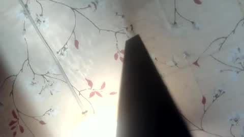 Snapshot of nitchiefucker chatting on 05-17-26, 10:55 Nadz online show from 05-17-26, 10:55