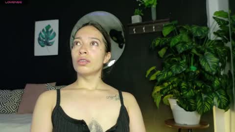 Noah  online show from 04-12-26, 03:33