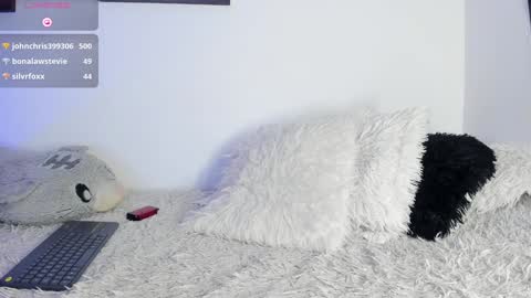 Noah online show from 01-20-25, 03:26