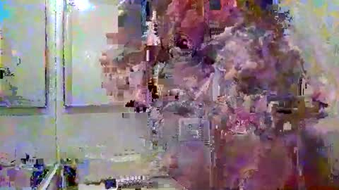 noboundariesinprivate online show from 03-18-26, 04:37