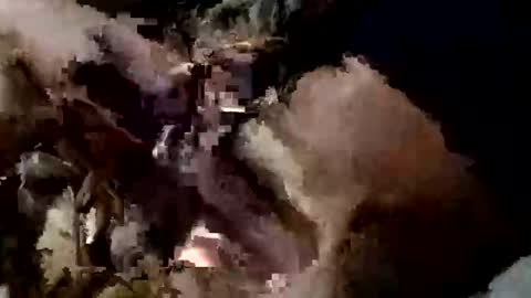 nocturnus1980 online show from 09-10-25, 05:40