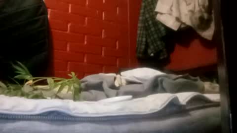 nocturnus1980 online show from 09-23-25, 05:21