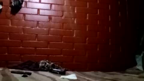 nocturnus1980 online show from 02-02-26, 07:29