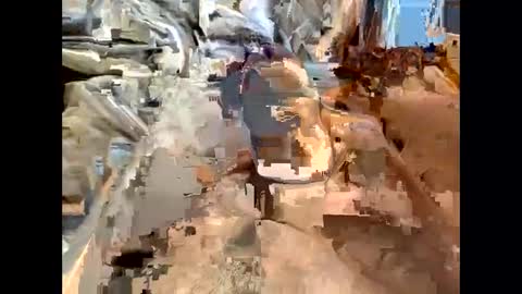 nolplus online show from 03-07-25, 07:19