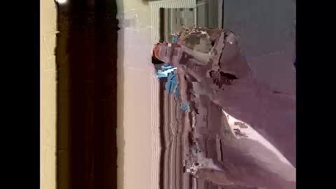 nolplus online show from 09-22-25, 04:36