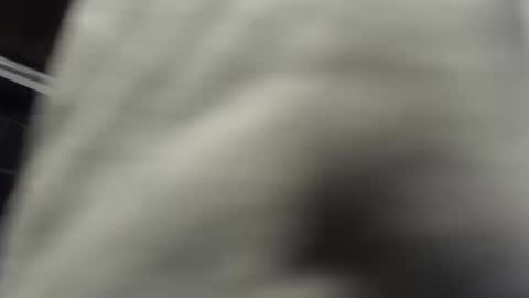 Snapshot of nombah_ chatting on 12-16-25, 01:21 nombah_ online show from 12-16-25, 01:21