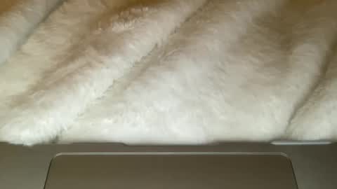 Snapshot of noscandal chatting on 12-21-25, 05:03 noscandal online show from 12-21-25, 05:03