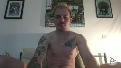 Not Another XXX Webcam online show from 03-12-26, 10:27