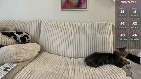 NotUrBabyMoms online show from 12-24-24, 02:54