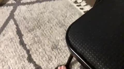 nursesteve online show from 11-01-25, 02:57