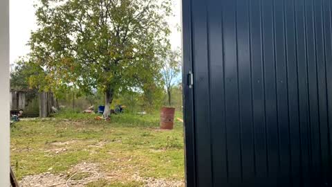 Snapshot of nyconik chatting on 09-19-25, 07:21 Nicol online show from 09-19-25, 07:21