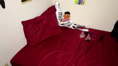 Nymphaea online show from 11-14-25, 12:31