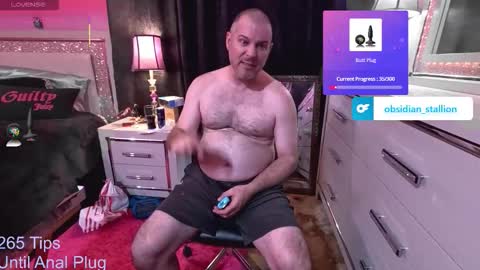 Obsidian stallion online show from 10-03-25, 11:46