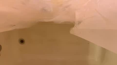 Odin Stone online show from 01-06-26, 06:44