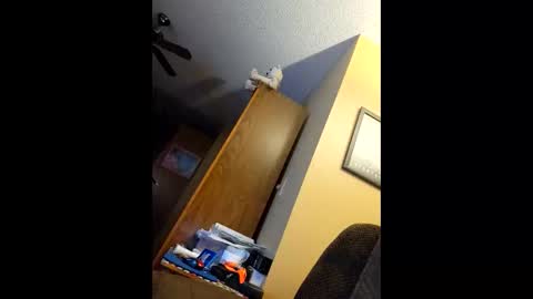 Snapshot of oldaddy2 chatting on 03-25-26, 04:29 oldaddy2 online show from 03-25-26, 04:29