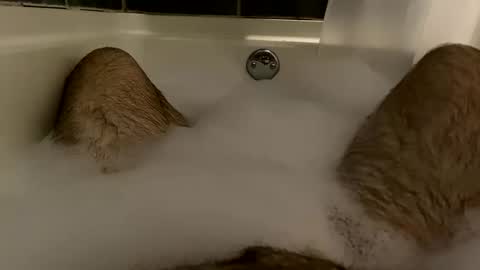 oldbones2 online show from 12-08-24, 02:07