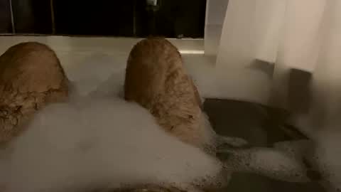 oldbones2 online show from 02-24-25, 02:51