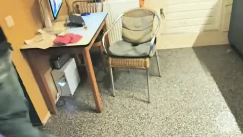 Snapshot of oldersagger chatting on 12-05-25, 05:09 oldersagger online show from 12-05-25, 05:09