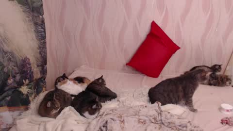 Olivia online show from 03-04-25, 11:00