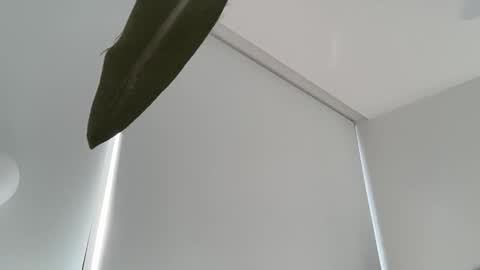 Olivia Brookes online show from 12-04-25, 07:55