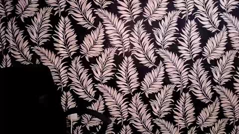 Kelly online show from 12-15-24, 05:53