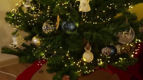 Snapshot of omiliver chatting on 12-03-24, 09:56    or    online show from 12-03-24, 09:56