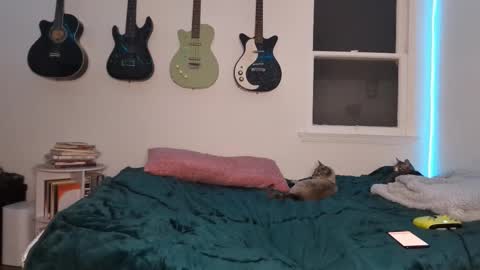 Snapshot of onlystrings chatting on 03-12-25, 02:52 Duo online show from 03-12-25, 02:52