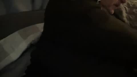 onthedlhere online show from 12-24-24, 12:00