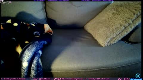 Snapshot of ooh_sweet chatting on 11-05-25, 01:00 OF - Ooh 69sweet SNAP4LIFE OFFLINE 899 normal VIP 1369 outside online show from 11-05-25, 01:00