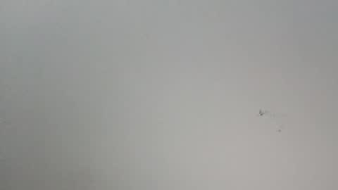 Snapshot of oooxxxrrr chatting on 01-12-26, 11:10 oooxxxrrr online show from 01-12-26, 11:10