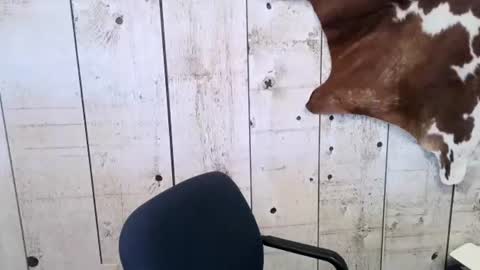 kinkynerd online show from 02-24-25, 04:47