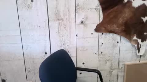 kinkynerd online show from 11-01-25, 03:25