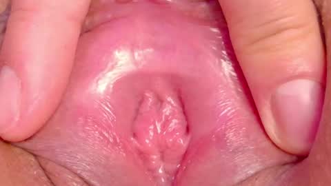orchidekitty online show from 05-28-26, 12:41