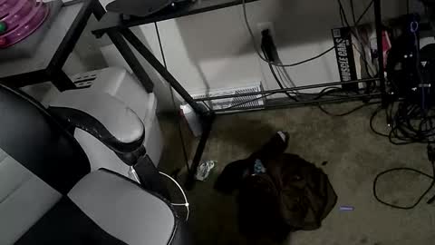 Snapshot of orgasmgiver9090 chatting on 03-20-26, 07:52 orgasmgiver9090 online show from 03-20-26, 07:52