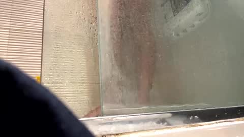 Snapshot of orn74 chatting on 12-31-24, 09:17 orn74 online show from 12-31-24, 09:17