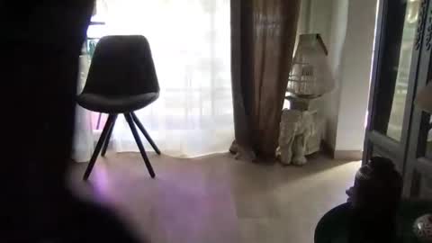 Snapshot of orn74 chatting on 03-17-26, 11:35 orn74 online show from 03-17-26, 11:35