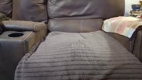 Snapshot of outdoorsmanmark71 chatting on 09-10-25, 09:59 outdoorsmanmark71 online show from 09-10-25, 09:59