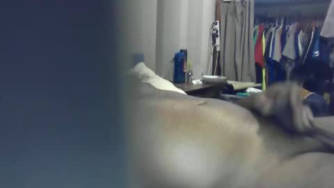 Snapshot of ozchaad chatting on 01-13-26, 01:05 ozchaad online show from 01-13-26, 01:05