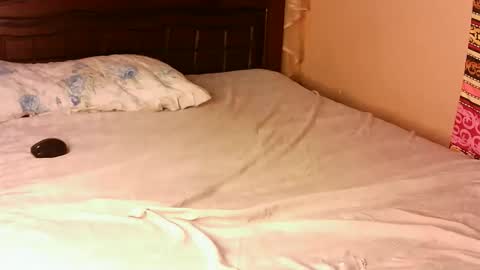 Snapshot of pacie1 chatting on 11-22-25, 12:15 Pacie online show from 11-22-25, 12:15