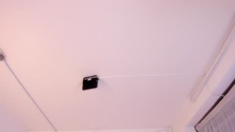 Paloma  online show from 02-03-25, 11:36