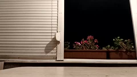 angel hris online show from 11-04-25, 05:34