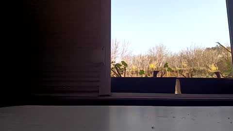 angel hris online show from 04-05-26, 03:09