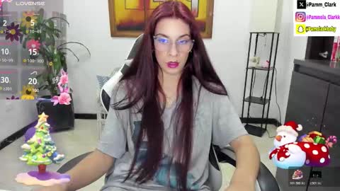 pammela clark online show from 11-06-25, 02:34