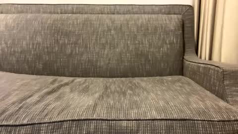 Snapshot of panther_style chatting on 02-11-25, 02:57 Oleg online show from 02-11-25, 02:57