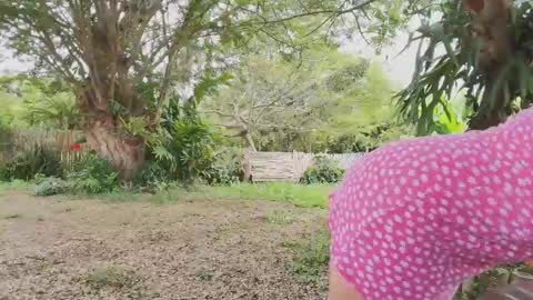 paoguerrax354 online show from 04-19-26, 06:10