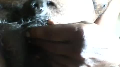 Snapshot of pappi_rambo chatting on 07-17-26, 01:29 pappi_rambo online show from 07-17-26, 01:29