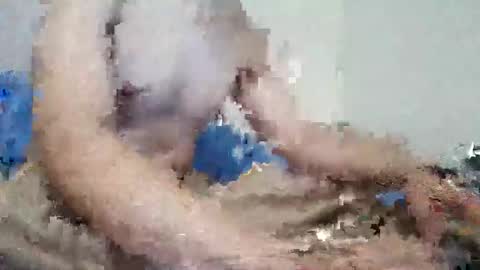 Snapshot of parejitafiel2309 chatting on 11-09-25, 08:18 parejitafiel2309 online show from 11-09-25, 08:18