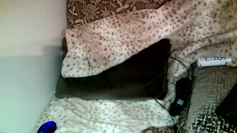 Parlay tellio online show from 12-23-24, 10:33